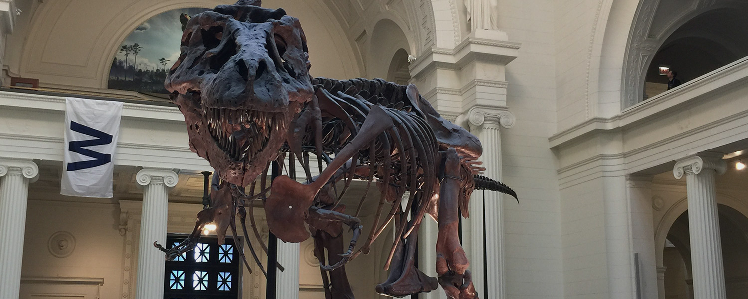 SUE the T Rex at the Field Museum in Chicago has an active Twitter account that both entertains and educates. SUE the T Rex at the Field Museum in Chicago