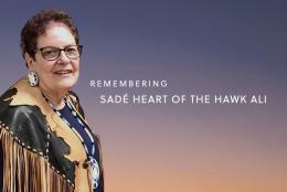 A photo of Sadé Heart of the Hawk Ali